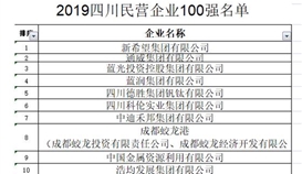 德勝集團(tuán)位列 2019四川省民營(yíng)企業(yè)100強(qiáng)第5位