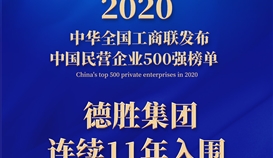 連續(xù)11年，樂山唯一！集團上榜2020中國民營企業(yè)500強