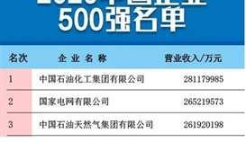 德勝集團(tuán)繼續(xù)入圍中國企業(yè)500強榜單